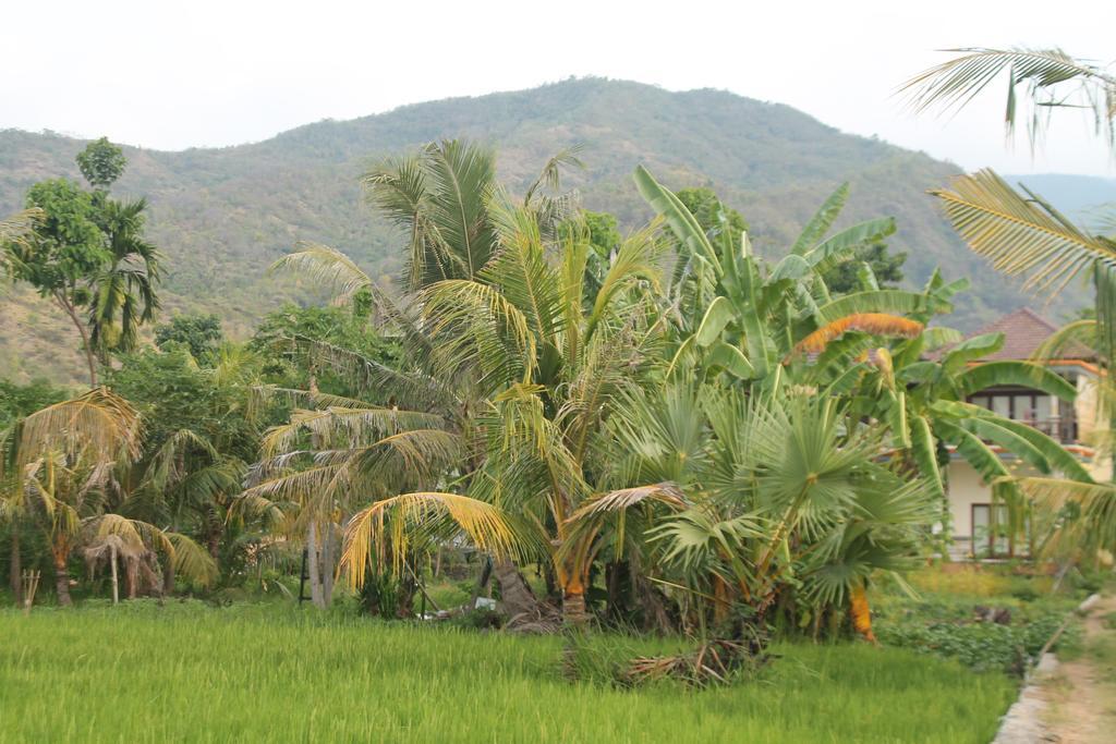 Taman Padi Villa Amed Eksteriør billede