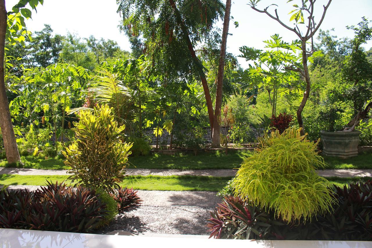 Taman Padi Villa Amed Eksteriør billede